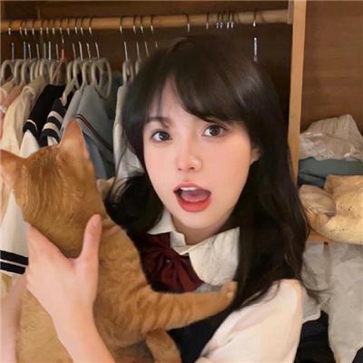 偷情网站泄密事件：性、谎言与丑闻